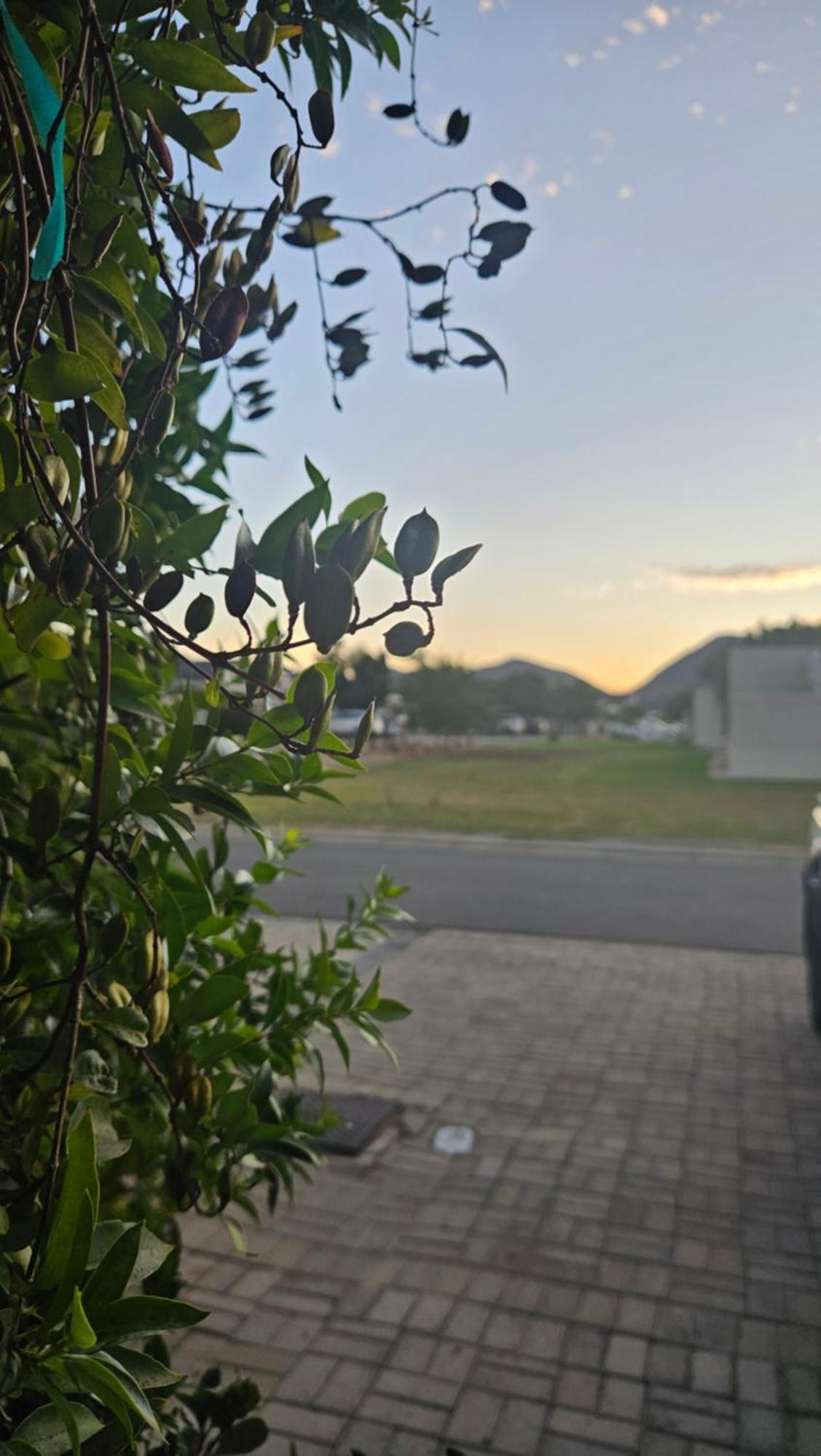 Lily'S Rest, Village On Silwerstrand, Robertson Luaran gambar
